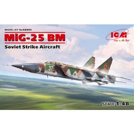 ICM MiG-25 BM, Soviet Strike Aircraft makett