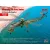 ICM Sikorsky CH-54A Tarhe - US Heavy Helicopter makett