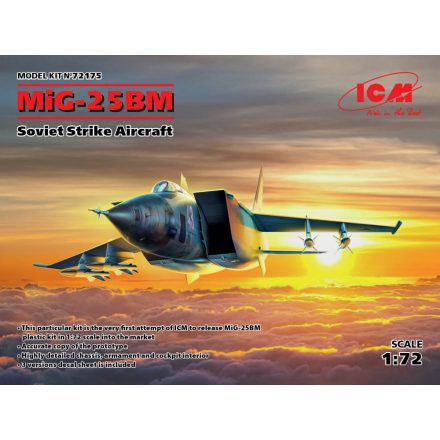 ICM Mikoyan MiG-25BM Soviet Strike Aircraft  makett
