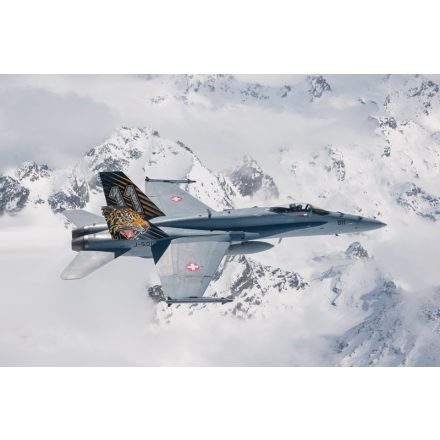 Italeri F/A-18 HORNET TIGER MEET 2016 makett