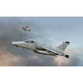 Kinetic AMX Single Seat Fighter makett