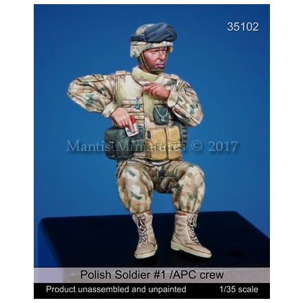 Mantis Miniatures Polish Soldier #1