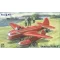 Micro Mir Nikitin PSN-2 Soviet anti-naval glider torpedo bomber repülő makett