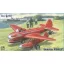 Micro Mir Nikitin PSN-2 Soviet anti-naval glider torpedo bomber repülő makett