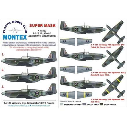 Montex P-51A Mustang (Accurate Miniatures) maszkoló