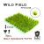 Paint Forge Wild Field Grass Tufts 12mm