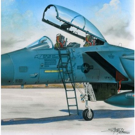Plus Model Ladder for F-15