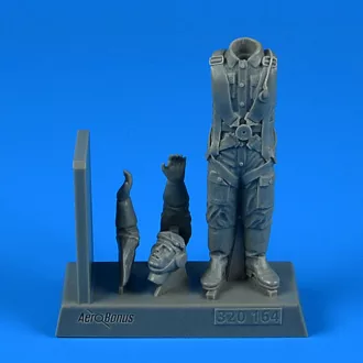 Aerobonus French Air Force WWII Pilot