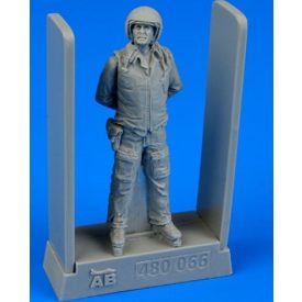 Aerobonus Soviet air force fighter pilot