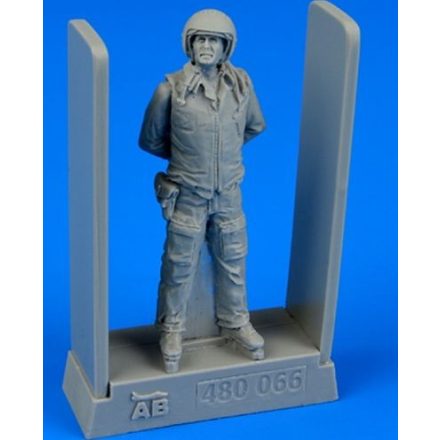 Aerobonus Soviet air force fighter pilot