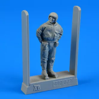 Aerobonus Soviet air force fighter pilot-winter su
