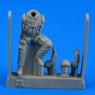 Aerobonus Soviet Pilot-the Cold War period