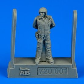Aerobonus Soviet air force fighter pilot