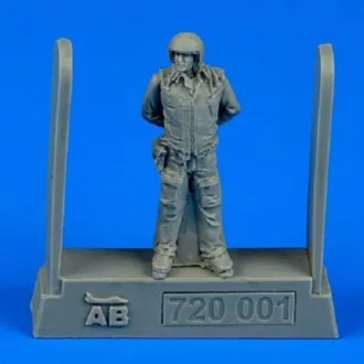 Aerobonus Soviet air force fighter pilot