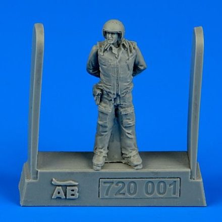 Aerobonus Soviet air force fighter pilot