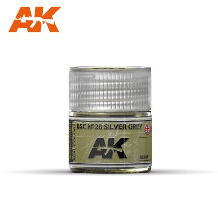 AK REAL COLOR - BSC Nº28 SILVER GREY