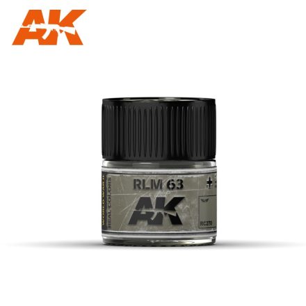 AK REAL COLOR - RLM 63