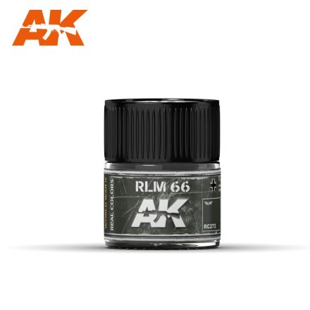 AK REAL COLOR - RLM 66