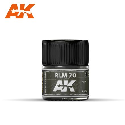 AK REAL COLOR - RLM 70