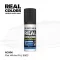 AK Interactive - Real Colors: Flat White RAL 9003 17 ml. festék