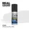 AK Interactive - Real Colors: White Grey RAL 9002 17 ml. festék