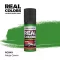 AK Interactive - Real Colors: Ninja Green 17 ml. festék