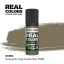 AK Interactive - Real Colors: Graugrün-Grey Green RAL 7008 17 ml. festék