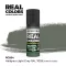 AK Interactive - Real Colors: Hellgrau-Light Grey RAL 7009 (interior color) 17 m festék