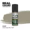 AK Interactive - Real Colors: Grau-Grey RAL 7027 17 ml. festék