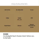 AK Interactive - Real Colors: Dunkelgelb Nach Muster-Dark Yellow acc. to Sample festék