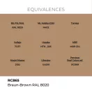 AK Interactive - Real Colors: Braun-Brown RAL 8020 17 ml. festék