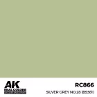 AK REAL COLOR Silver Grey No.28 (BS381)