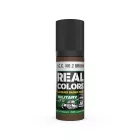 AK REAL COLOR S.C.C. No.2 Brown