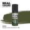 AK Interactive - Real Colors: Russian Green Protective 4BO 17 ml. festék