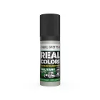 AK REAL COLOR Light Gull Grey FS 16440