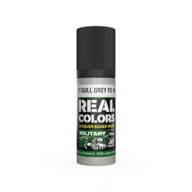 AK REAL COLOR Light Gull Grey FS 16440