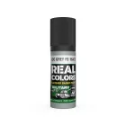 AK REAL COLOR ADC Grey FS 16473