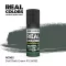 AK Interactive - Real Colors: Dull Dark Green FS 34092 17 ml. festék