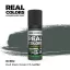 AK Interactive - Real Colors: Dull Dark Green FS 34092 17 ml. festék