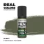 AK Interactive - Real Colors: Field Green FS 34097 17 ml. festék