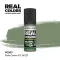 AK Interactive - Real Colors: Pale Green FS 34227 17 ml. festék