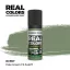 AK Interactive - Real Colors: Pale Green FS 34227 17 ml. festék