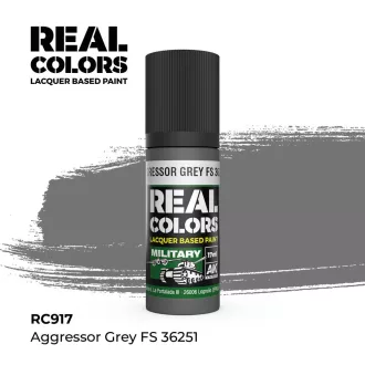   AK Interactive - Real Colors: Aggressor Grey FS 36251 17 ml. festék