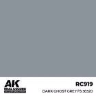 AK REAL COLOR Dark Ghost Grey FS 36320