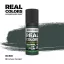 AK Interactive - Real Colors: Bronze Green 17 ml. festék