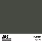 AK REAL COLOR RLM 70