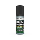 AK REAL COLOR RLM 78