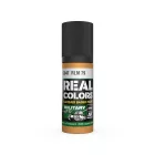 AK REAL COLOR RLM 79
