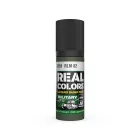 AK REAL COLOR RLM 82