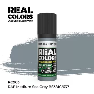   AK Interactive - Real Colors: RAF Medium Sea Grey BS381C/637 17 ml. festék
